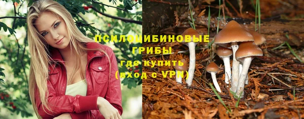 стаф Белоозёрский