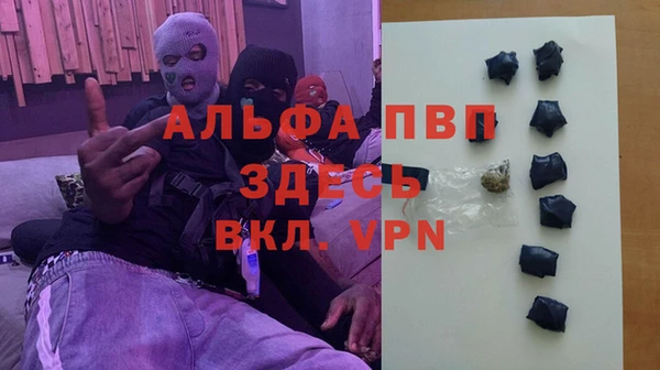 стаф Белоозёрский