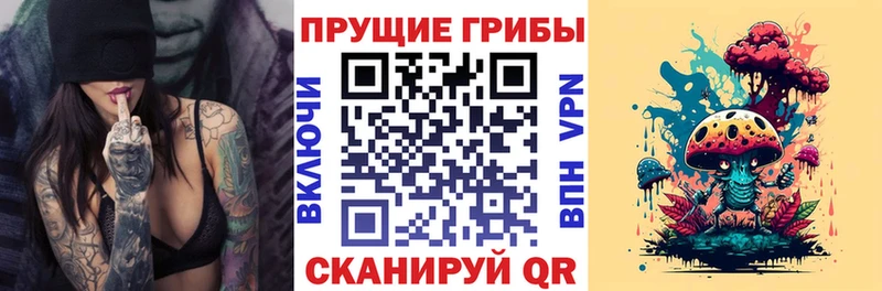 ссылка на мегу ссылка  Гудермес  Галлюциногенные грибы прущие грибы 