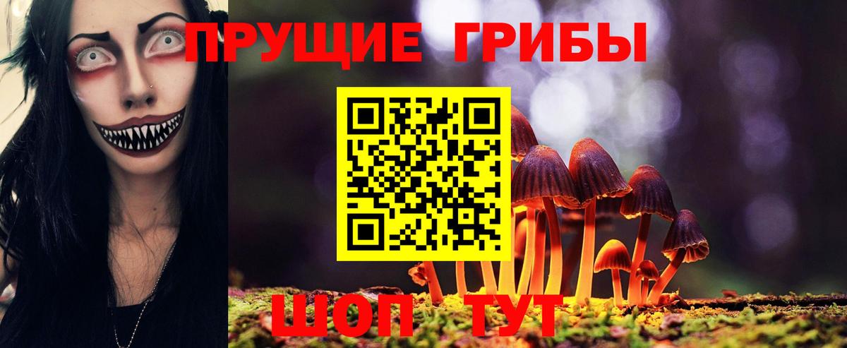 Псилоцибиновые грибы прущие грибы  Гудермес  Галлюциногенные грибы Psilocybe 